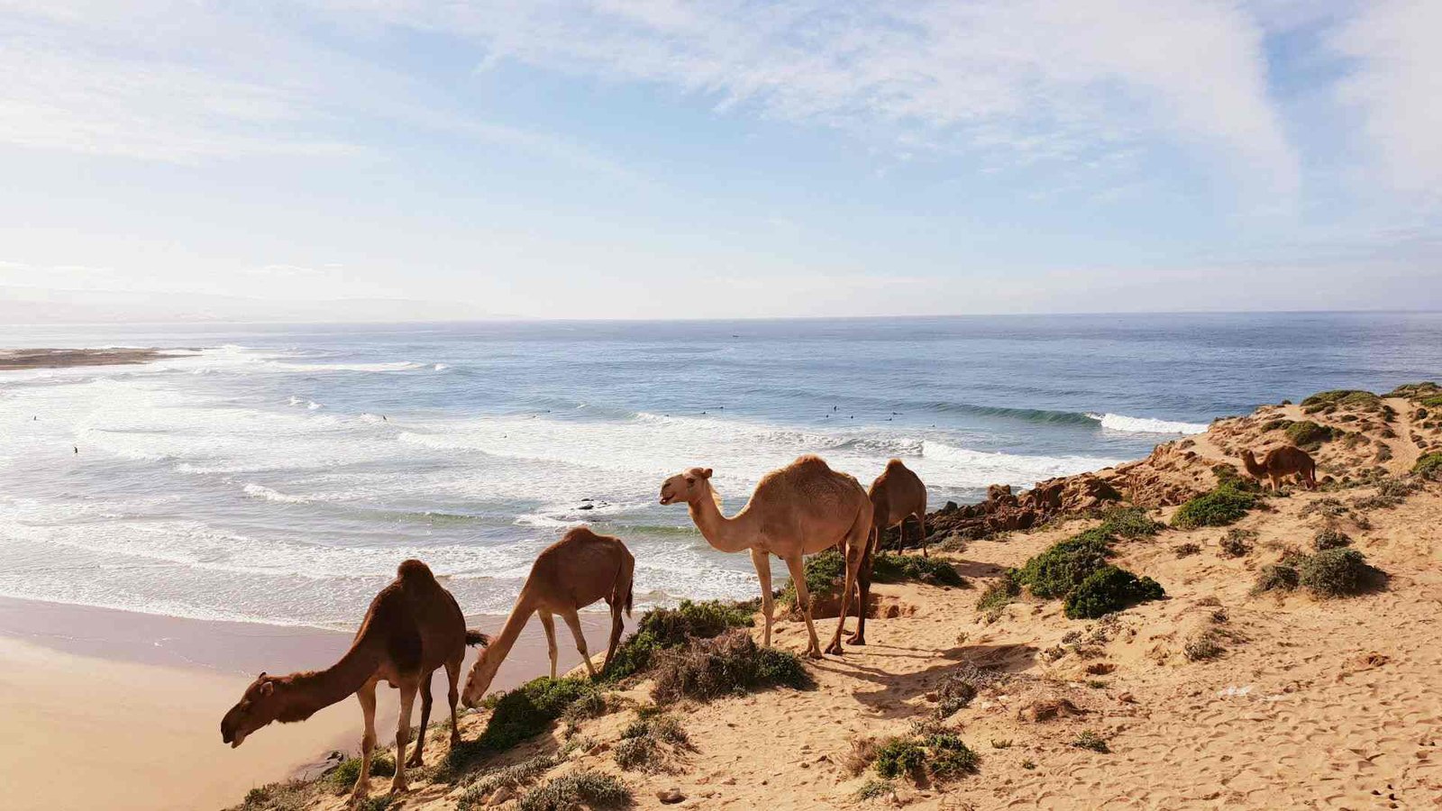 Los Mejores Pueblos para Surfear en la Costa de Marruecos: Una Guía para Surfistas